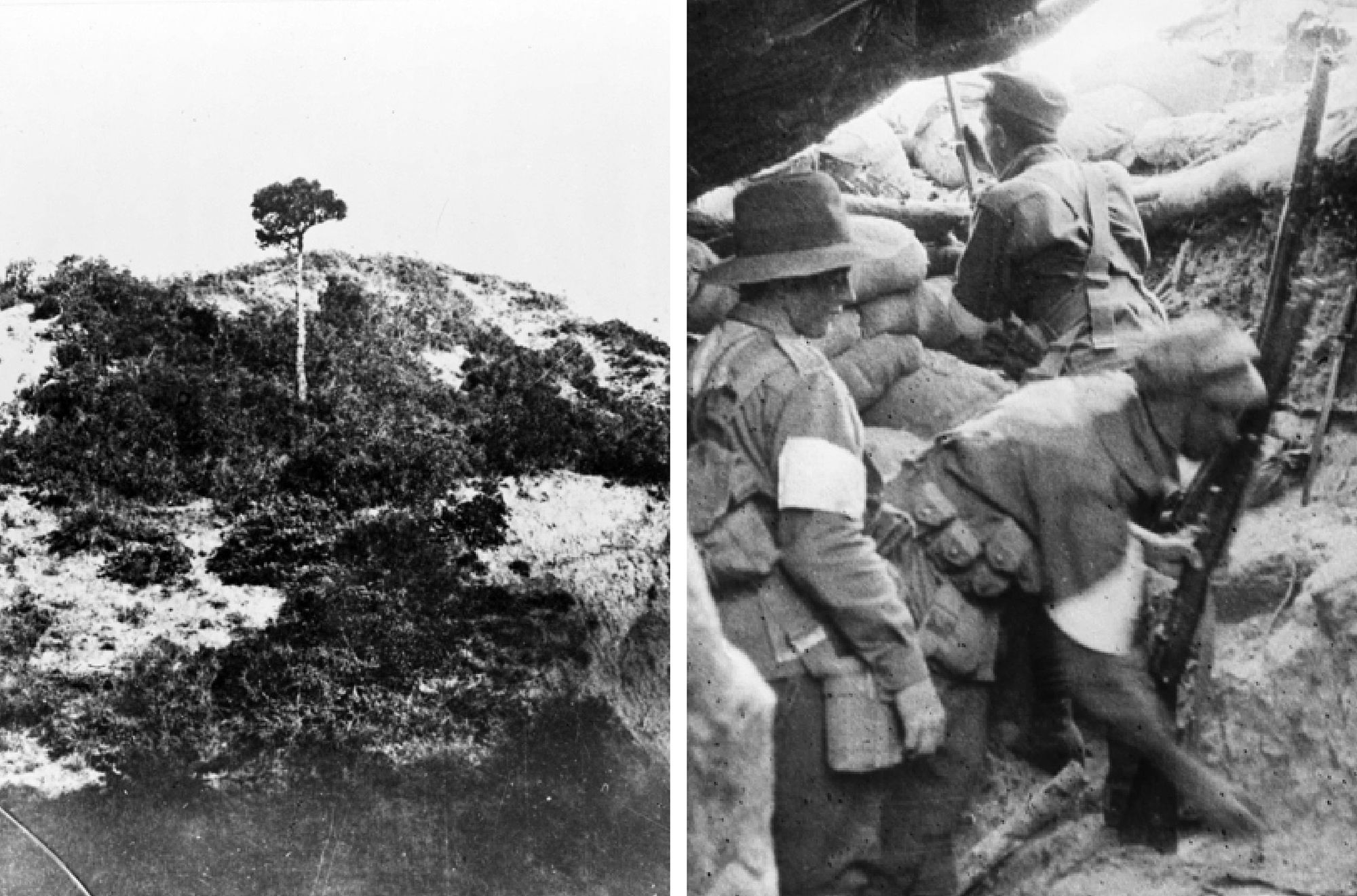 (Left) The Lone Pine at the Gallipoli Peninsula before the charge in August 1915. The Pine tree was used as target practice before it was shattered by shell fire / A03228 / Courtesy: Australian War Memorial / (Right) Australian soldiers standing at a bomb stop in Lone Pine / C01929 / Courtesy: Australian War Memorial