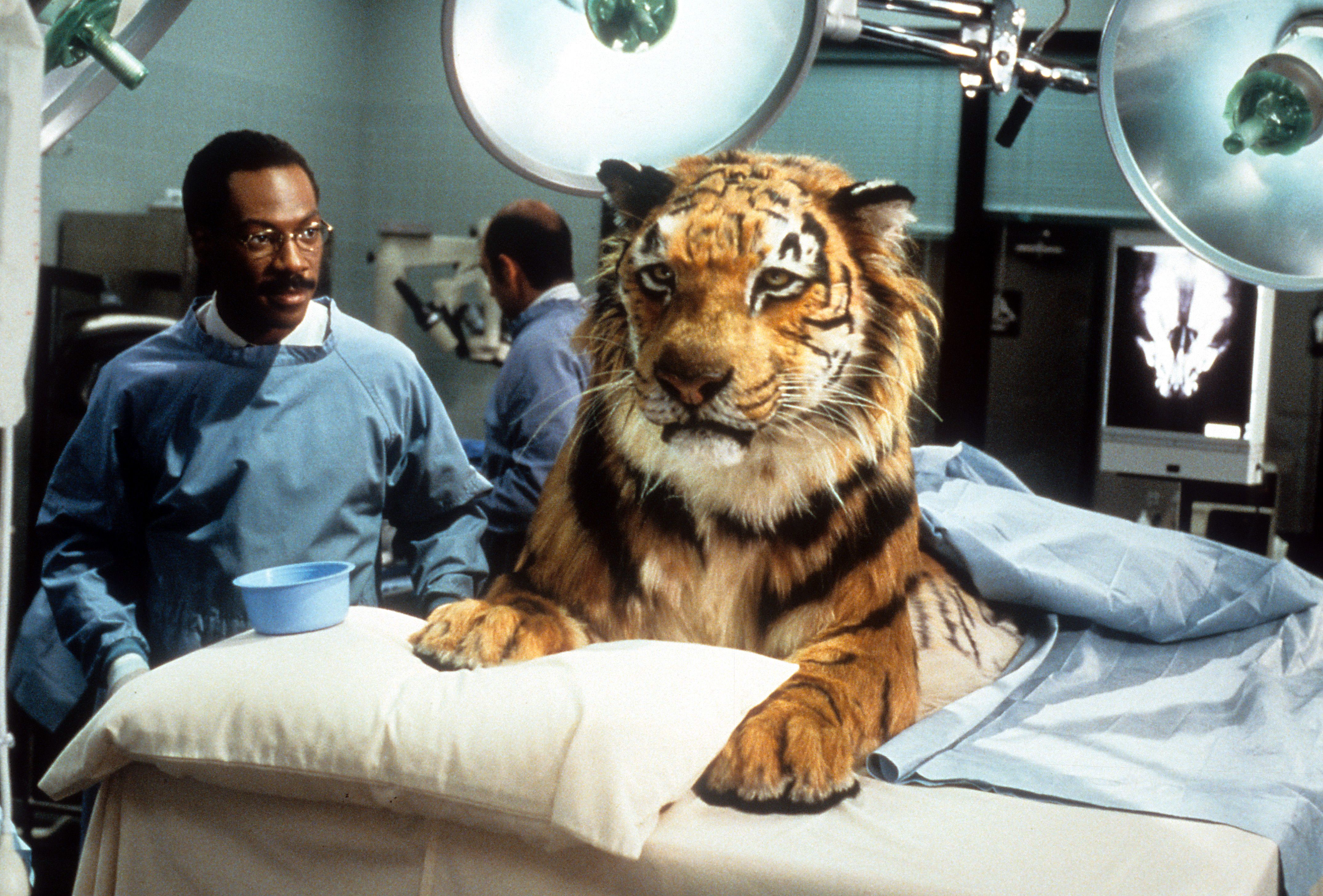 Production still from Doctor Dolittle 1998 / Director: Betty Thomas / Image courtesy: The Walt Disney Company (Australia)