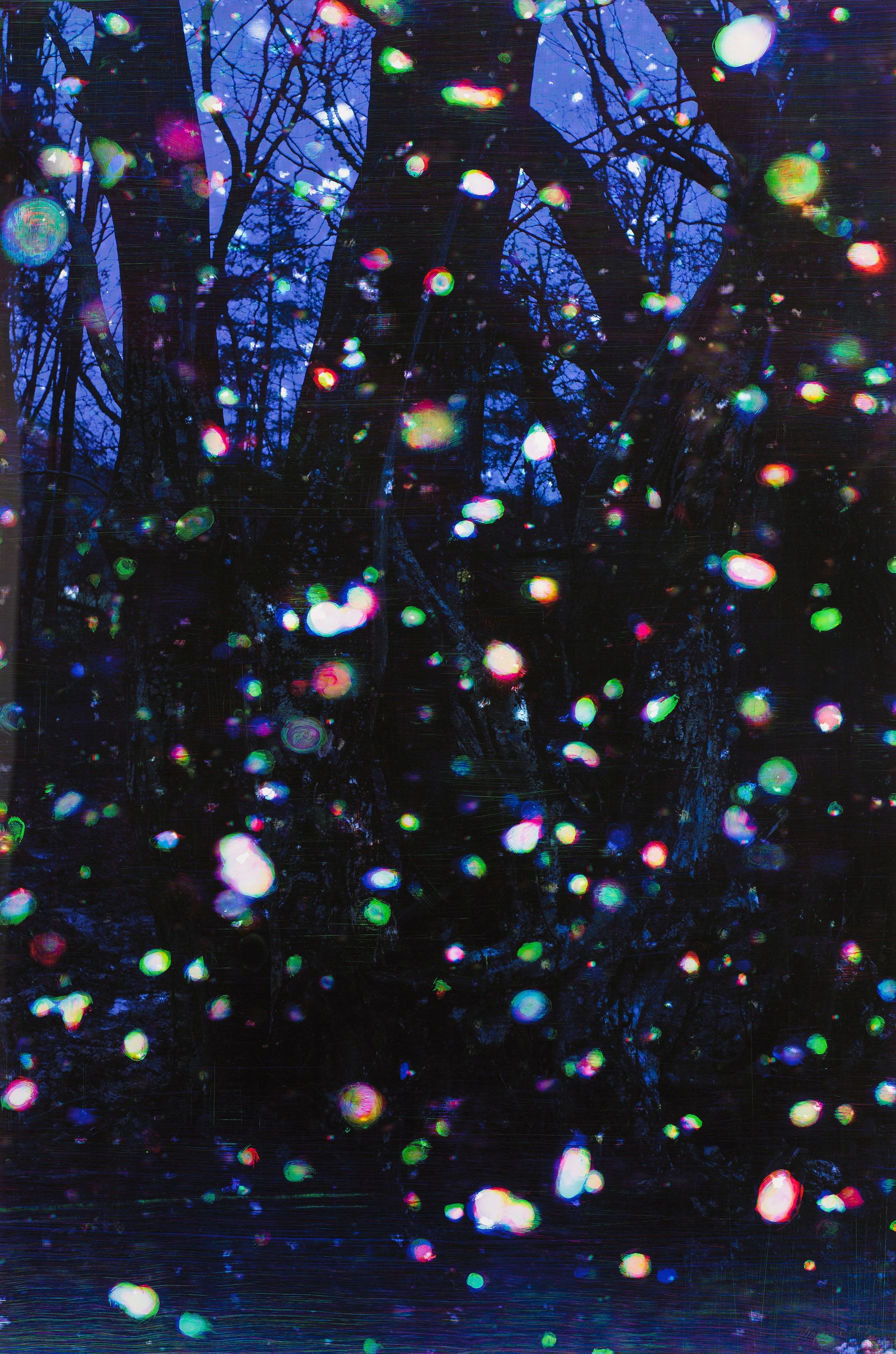 Tim Maguire, Australia/United Kingdom b.1958 / Trees and snow II 2008 / Digital pigment ink on paper / 180.2 x 119.6cm (comp., irreg.) / Gift of an anonymous donor through the QAG Foundation 2012. Donated through the Australian Government's Cultural Gifts Program / Collection: Queensland Art Gallery | Gallery of Modern Art / © Tim Maguire