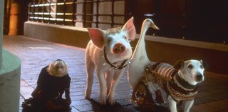 Production still from Babe: Pig in the City 1998 / Director: George Miller / Image courtesy: Universal Pictures Australia
