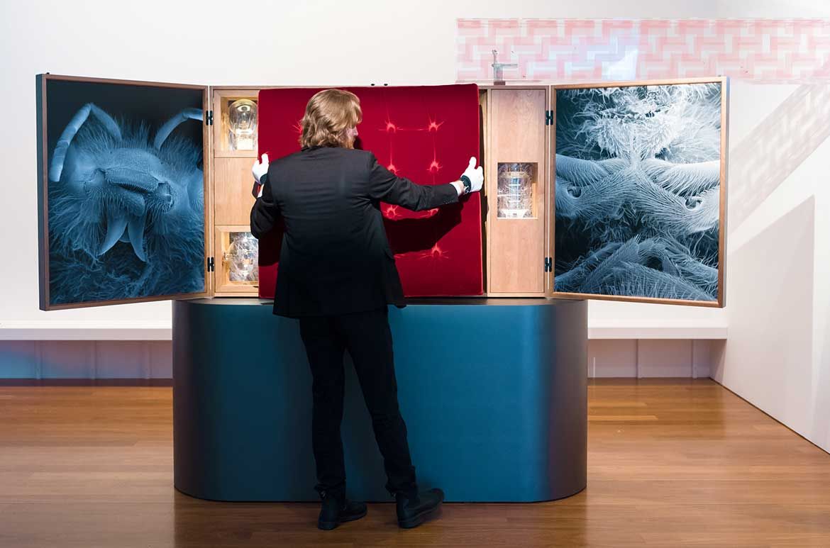 Anne Noble, Aotearoa New Zealand b.1954 / Conversatio: A cabinet of wonder 2018, installed at APT9, GOMA / Photographs, wooden cabinet, metal, glass, sound, scent, patterned perspex, colony of bees / 190 x 70 x 170cm / © Anne Noble / Courtesy: Anne Noble and Two Rooms, Auckland: Bartley + Company Art, Wellington and Jonathan Smart Gallery, Christchurch / Supported by: Bee One Third, JackStone, Brisbane and Creative New Zealand