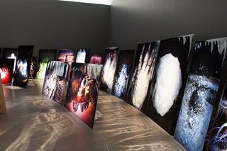 The 8th Asia Pacific Triennial of Contemporary Art (APT8) Exhibition no. 2015.07 Start date 21/11/2015 End date 10/04/2016 Gallery of Modern Art Gallery 1.3 installation view