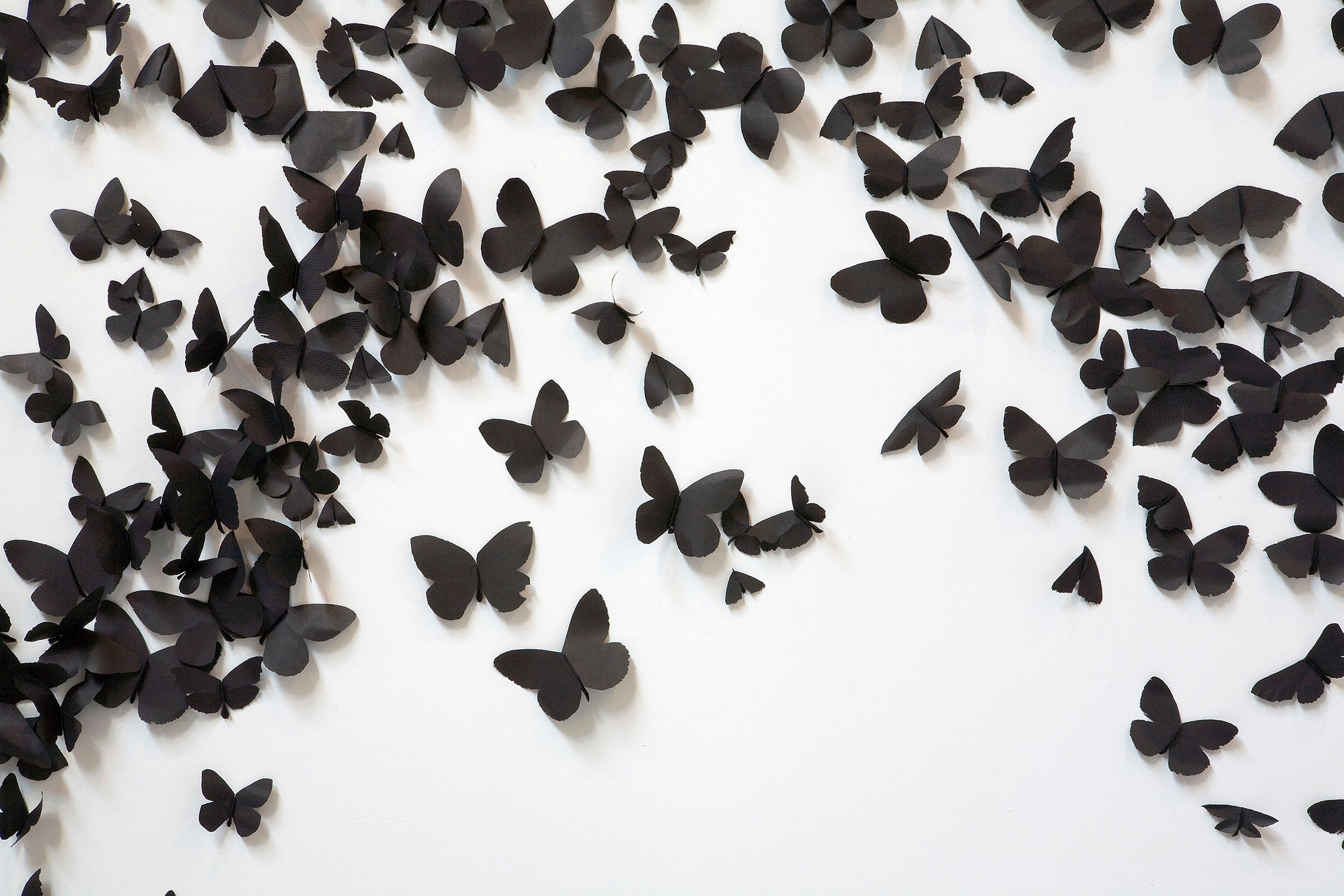 Carlos Amorales / Mexico b.1970 / Black Cloud (detail) 2007/2018 / 30 000 black laser-cut and handfolded paper butterflies (30 different butterfly and moth species in five sizes with a wave wing pattern), ed. 1/3 (+ 1 A.P.) / dimensions variable / Purchased 2022 with funds from Tim Fairfax AC through the Queensland Art Gallery | Gallery of Modern Art Foundation / Images courtesy: kurimanzutto, Mexico City