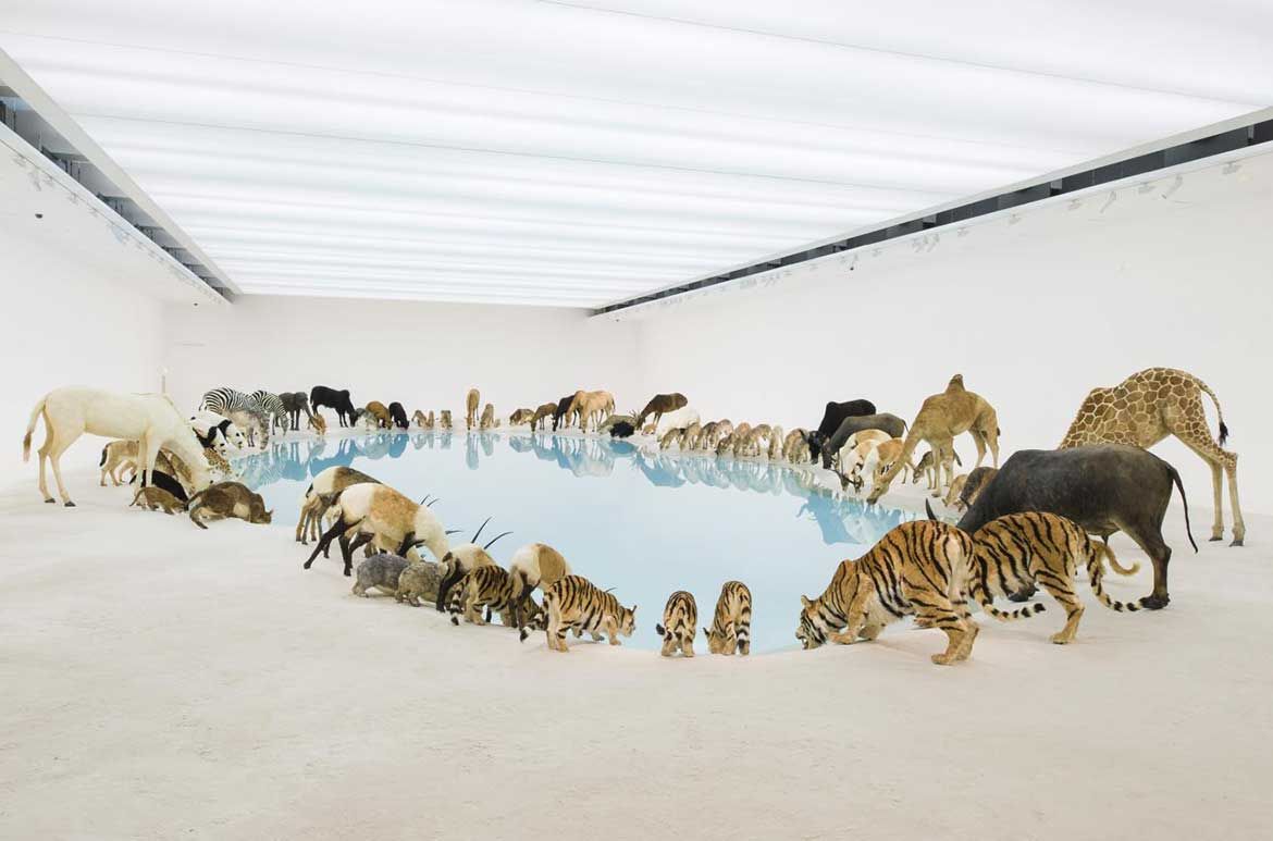Cai Guo-Qiang / Heritage 2013 / 99 life-sized replicas of animals / Commissioned 2013 with funds from the Josephine Ulrick and Win Schubert Diversity Foundation through and with the assistance of the Queensland Art Gallery | Gallery of Modern Art Foundation / Collection: Queensland Art Gallery | Gallery of Modern Art / © Cai Guo-Qiang / Photograph: Natasha Harth © QAGOMA