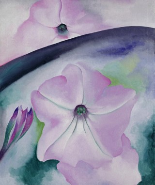 Georgia O’Keeffe, USA 1887–1986 / Petunia No. 2 1924 / Oil on canvas / 91.4 x 76.2 cm / Gift of The Burnett Foundation and Gerald and Kathleen Peters / Collection: Georgia O’Keeffe Museum / © Georgia O’Keeffe Museum