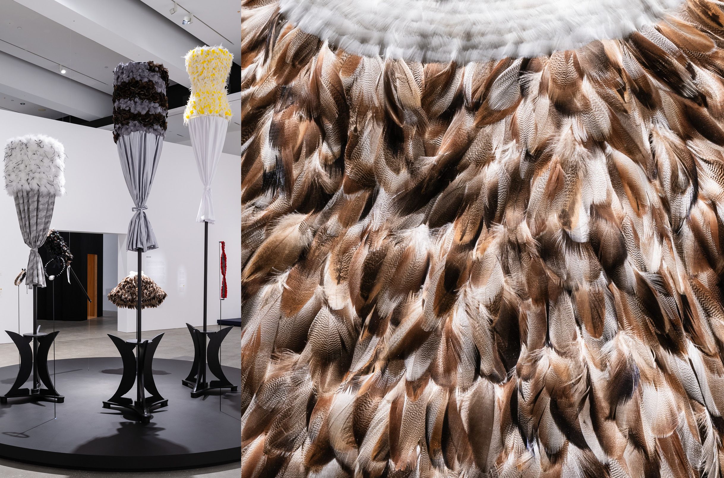 Mele Kahalepuna Chun, Kanaka ‘Ōiwi, Hawai‘i b.1966 / Hina 2024 / Feathers (goose, turkey, marabou, rooster, ringneck pheasant, guinea fowl and Lady Amherst’s pheasant), aluminium wire, floristry tape, tarred twine, satin and organza, wood, cotton thread and natural fibre cordage / Nine parts / 4 kāhili (feather standard) Māhealani (full moon); Pō Mākole (night rainbow); Hinaika‘opua (Hina in the clouds); Muku (dark night) / 4 lei (feather garland) Lua Kalai (red moon halo); Hinaikamālama (goddess of the moon); Mōhalu (crescent moon); Ke Ala O Ka Mahina (phases of the moon) / 1 ‘ahu‘ula (feather cloak) Mahinaokeao (Moon of the world) / Commissioned for ‘The 11th Asia Pacific Triennial of Contemporary Art’ / Purchased 2024 with funds from David Thomas AM through the QAGOMA Foundation / Collection: Queensland Art Gallery | Gallery of Modern Art / © Mele Kahalepuna Chun / Photograph: J Ruckli © QAGOMA