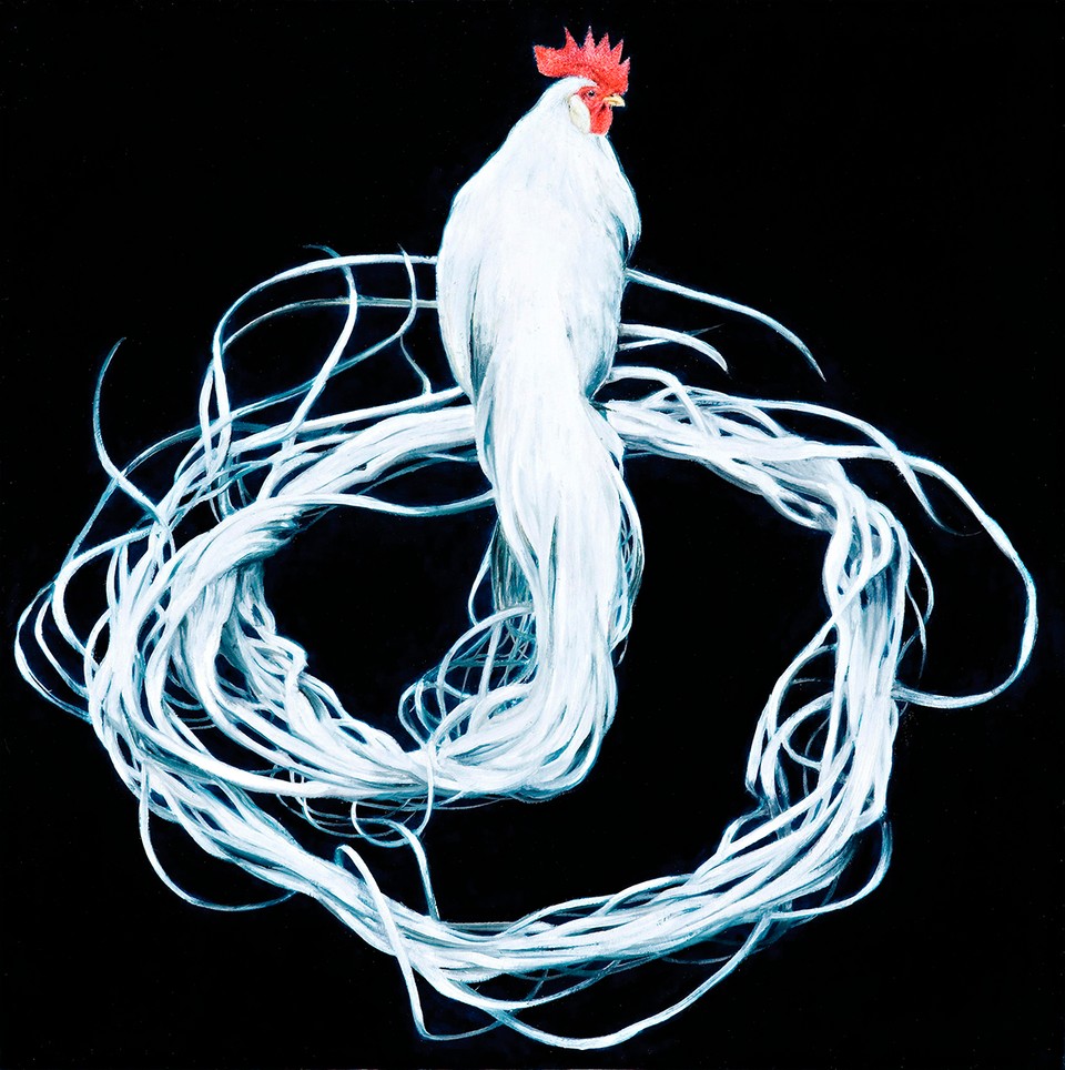 Michael Zavros: The favourite – QAGOMA Stories – Queensland Art Gallery ...