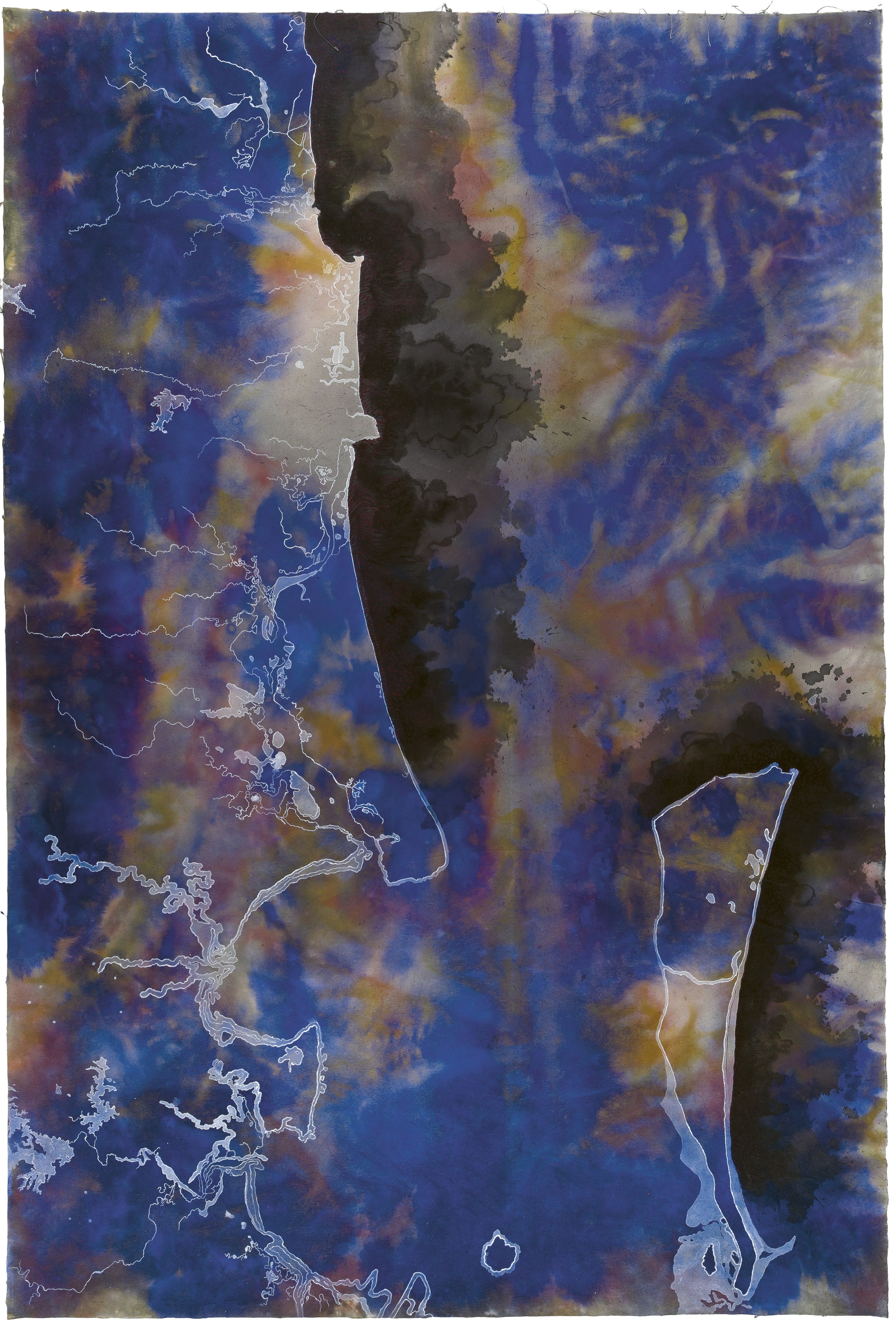 Judy Watson / Waanyi people / Australia b.1959 / bloom 2009 / Pigment, pastel and synthetic polymer paint on canvas / 219 x 147cm / The James C. Sourris AM Collection. Gift of James C. Sourris AM, through the Queensland Art Gallery Foundation 2011. Donated through the Australian Government's Cultural Gifts Program / Collection: Queensland Art Gallery | Gallery of Modern Art