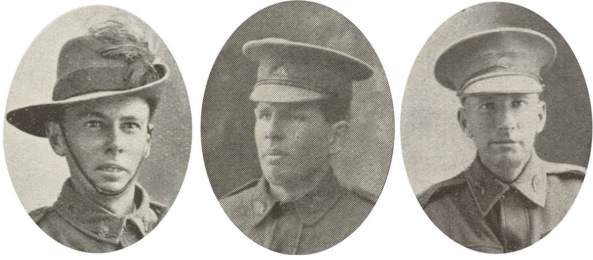 (left to right) Alexander Forbes Hogarth (1886-1915); Archibald McDonald Hogarth (1879-1916); Joseph Hogarth (1877-1918) / Images courtesy: John Oxley Library, State Library of Queensland, Brisbane
