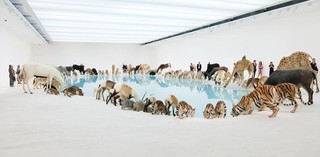 Cai Guo-Qiang, China b.1957 / Heritage (installation view) 2013 / 99 life-sized replicas of animals. Animals: polystyrene, gauze, resin and hide. Installed with artificial watering hole: water, sand, drip mechanism / Purchased 2013 with funds from the Josephine Ulrick and Win Schubert Diversity Foundation through and with the assistance of the Queensland Art Gallery Foundation / Collection: Queensland Art Gallery | Gallery of Modern Art / © Cai Guo-Qiang / Photograph: Natasha Harth © QAGOMA