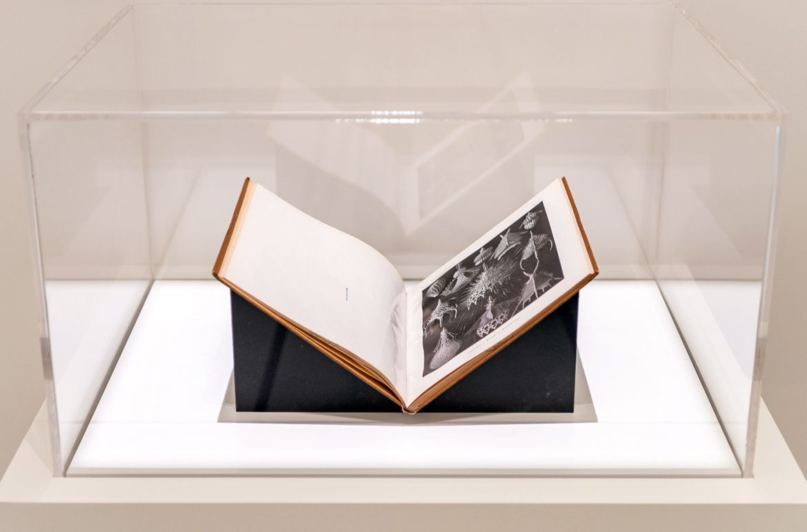 Ernst Haeckel’s illustrated manuscript Kunstformen der Natur (Artforms in Nature) 1899–1904 installed in ‘Iris van Herpen: Sculpting the Senses’, GOMA 2024 / Photograph: N Umek © QAGOMA