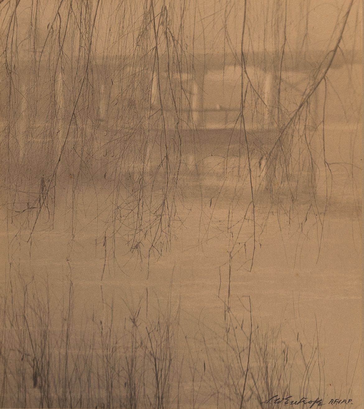 Stanley W Eutrope, Australia 1891–1983 / Winter’s curtain c.1922 / Bromoil photograph on paper / 26.3 x 23.3cm / Gift of Miss Shirley Eutrope 1984 / Collection: Queensland Art Gallery | Gallery of Modern Art / © Stanley Eutrope Estate