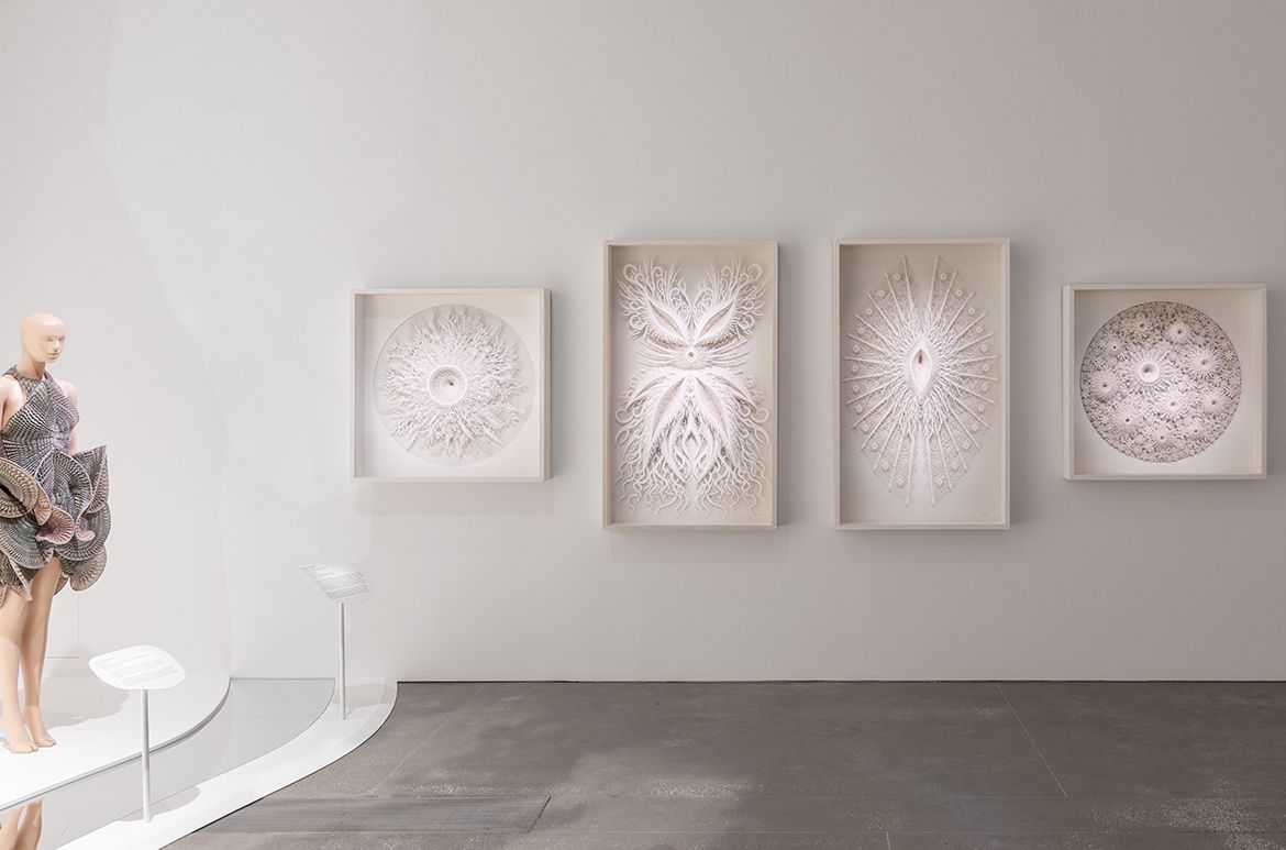 Rogan Brown, United Kingdom b.1966 / Ghost Coral Variation 2023; Ceres 2023; Chimera 2023; Magic Circle Variation 2023 installed in ‘Iris van Herpen: Sculpting the Senses’, GOMA 2024 / Hand-cut and laser-cut paper, card, foamboard / © & courtesy: Rogan Brown / Photograph: N Umek © QAGOMA