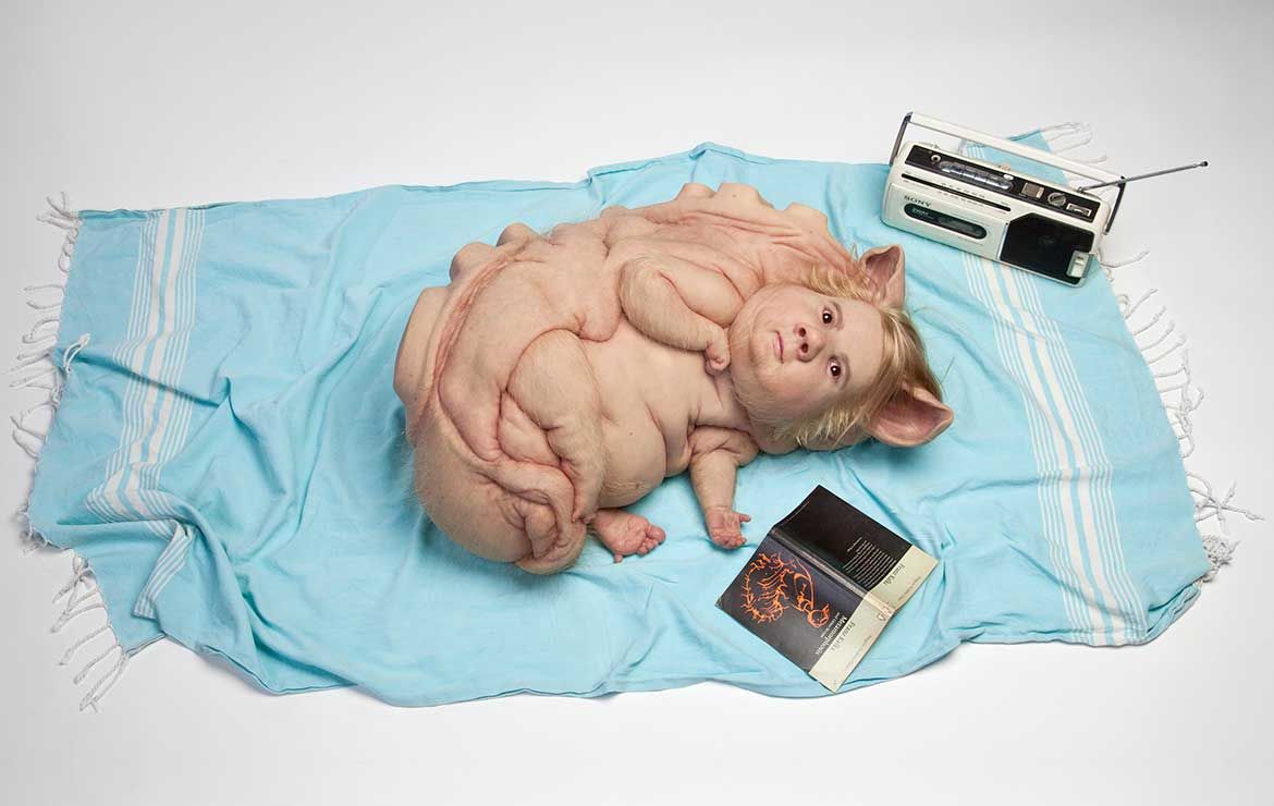 Patricia Piccinini, Australia b.1965 / Teenage Metamorphosis 2017 / Silicone, fibreglass, human hair, found objects / 25 x 71 x 52cm / Courtesy: The artist; Tolarno Galleries, Melbourne; Roslyn Oxley9 Gallery, Sydney; and Hosfelt Gallery, San Francisco / © The artist