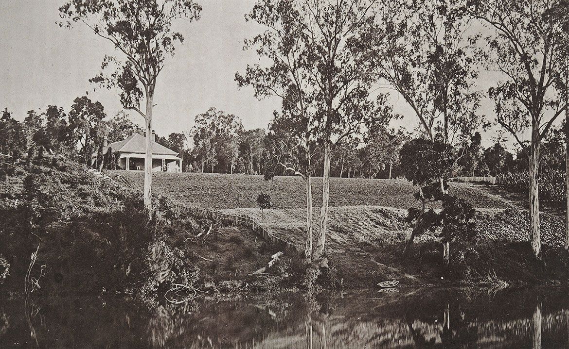 Richard Daintree, England/Australia 1832-78 / (Cleared scrub land – Banks Mary River) (no. 10 from ‘Images of Queensland’ series) c.1870 / Autotype on paper / 10 x 16cm (comp.) / Purchased 2009 with funds raised through the QAG Foundation 30th Anniversary Appeal / Collection: Queensland Art Gallery | Gallery of Modern Art