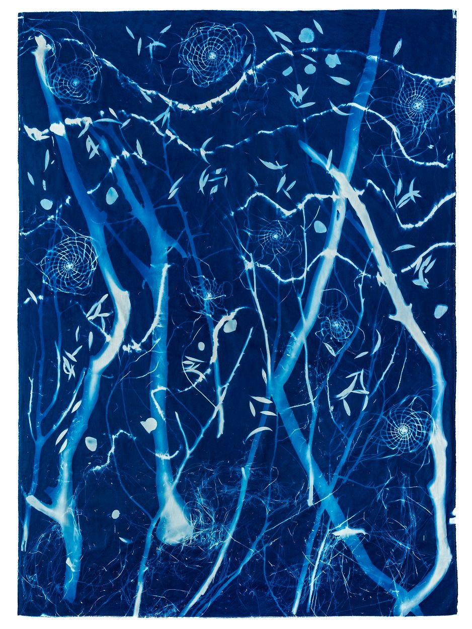 Elisa Jane Carmichael, Fallen - Pulan (series) 1 2023, Cyanotype on cotton / © Elisa Jane Carmichael / Courtesy of the artist and Onespace Gallery / Photograph: Louis Lim 