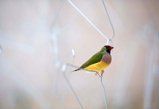 21st Century: Art in the First Decade installation view