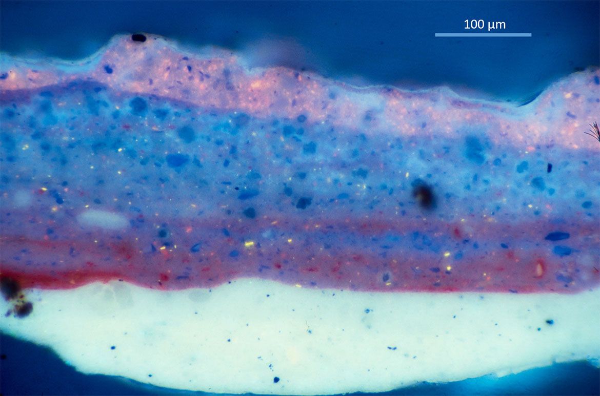 Under the jacaranda / Ultraviolet (UV) fluorescence