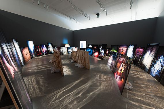 The 8th Asia Pacific Triennial of Contemporary Art (APT8) Exhibition no. 2015.07 Start date 21/11/2015 End date 10/04/2016 Gallery of Modern Art Gallery 1.3 installation view
