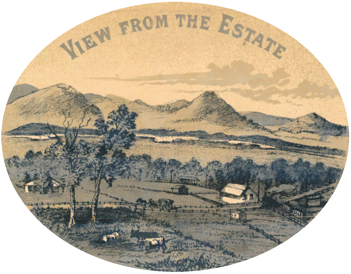 Detail of Kingston Railway Station Estate, sale by auction, 1885 / Courtesy: John Oxley Library, State Library of Queensland, Brisbane