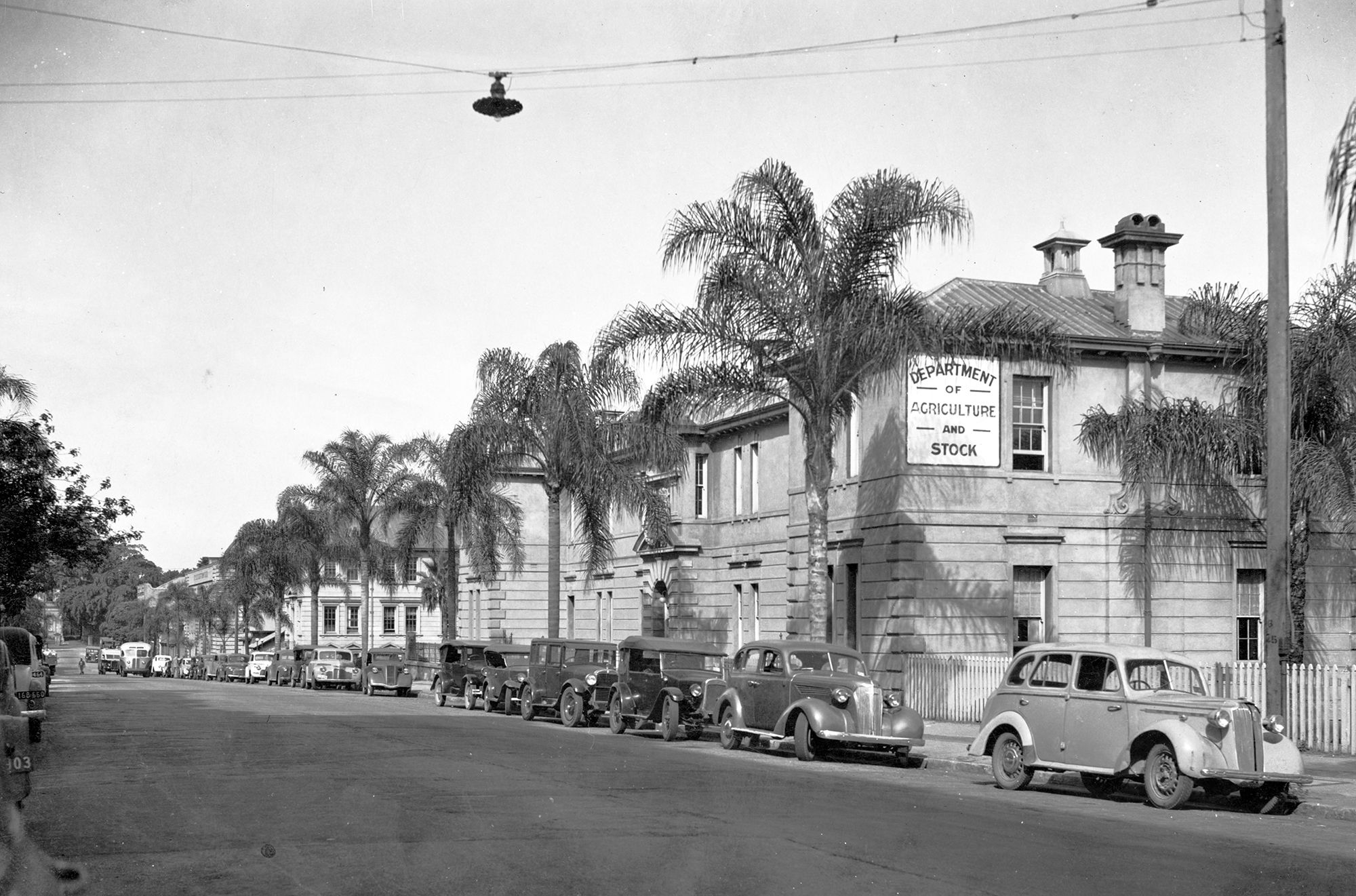 Department of Agriculture and Stock building, William Street, c.1940 / 99183507772602061 / Courtesy: John Oxley Library, State Library of Queensland, Brisbane