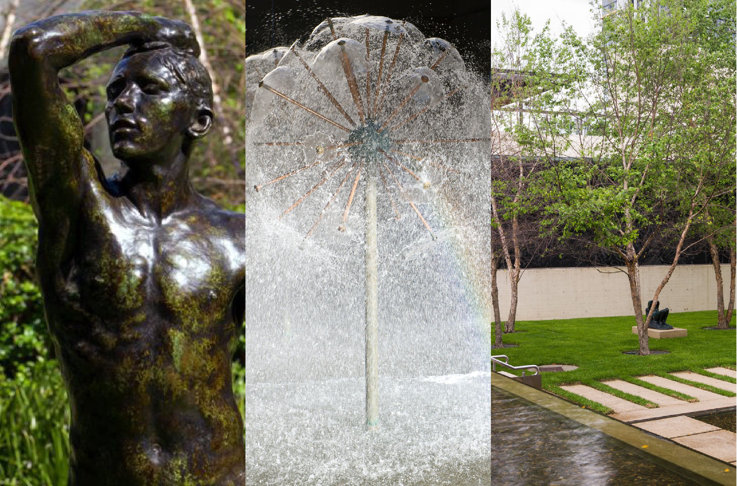 QAG Sculpture Garden