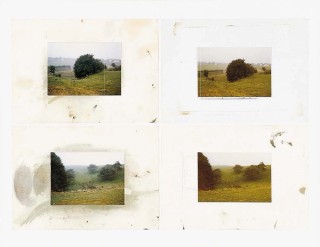Gerhard Richter, Germany b.1932 / Atlas overview 1962-ongoing / Meadowland (427), 1984 / © Gerhard Richter 2017 / Images courtesy: The artist and the Gerhard Richter Atelier