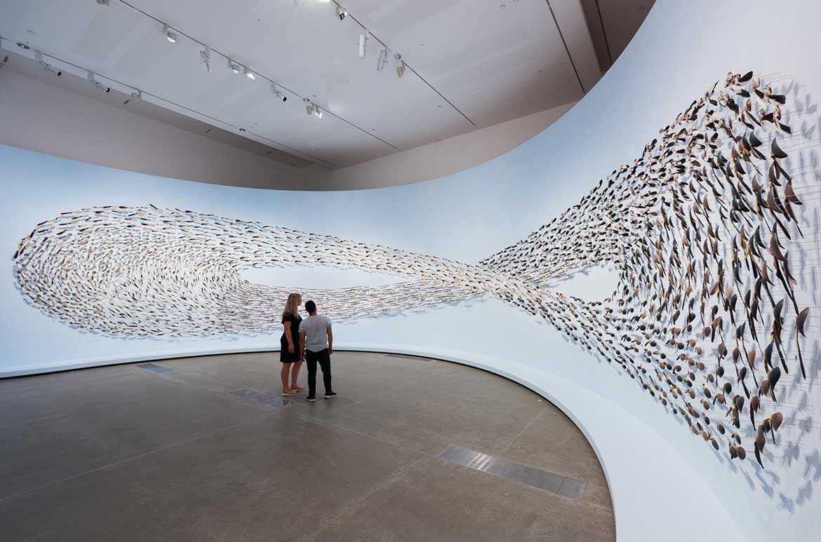 Jonathan Jones, Kamilaroi/Wiradjuri people, Australia b.1978 / Dr Uncle Stan Grant Snr AM, Wiradjuri people, Australia b.1940 / untitled (giran) 2018 / Bindu-gaany (freshwater mussel shell), gabudha (rush), gawurra (feathers), marrung dinawan (emu egg), walung (stone), wambuwung dhabal (kangaroo bone), wayu (string), wiiny (wood) on wire pins, 48-channel soundscape, eucalyptus oil / 1742 pieces (comprising 291 Bindu-gaany; 290 Galigal; 292 Bagaay; 291 Dhalany; 280 Bingal; 298 Waybarra) / Purchased 2018 with funds from Tim Fairfax AC through the QAG Foundation / Collection: Queensland Art Gallery | Gallery of Modern Art / © The artists / Photograph: J Ruckli © QAGOMA
