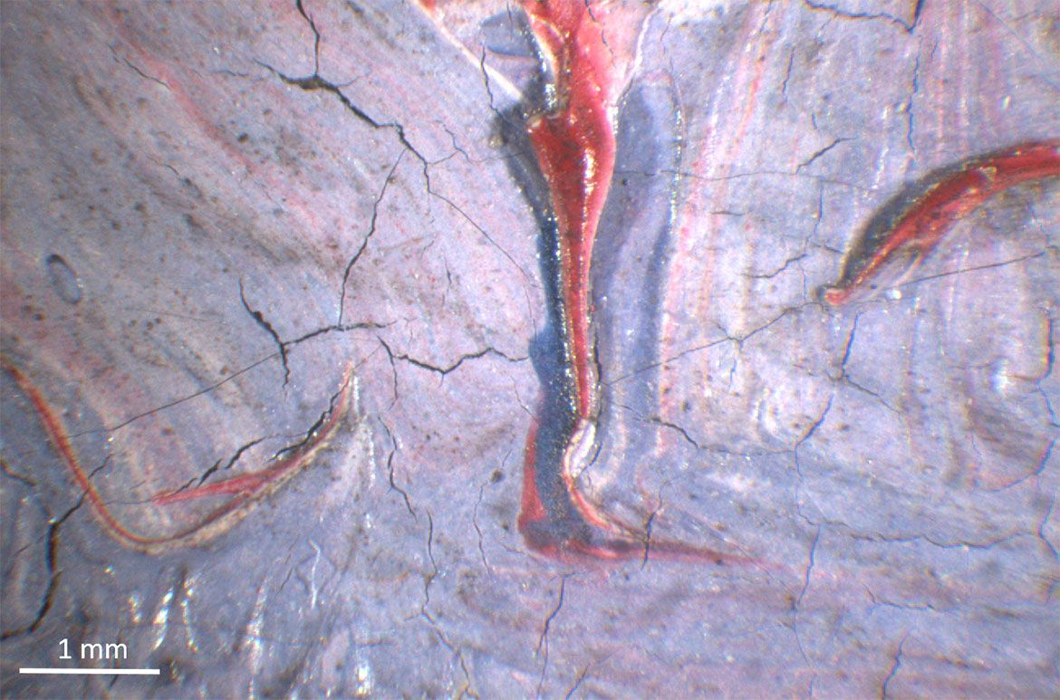 Under the jacaranda 1903 / Detail of fallen petals in lower right of painting showing paint cracking / 18 x magnification / Photograph: Gillian Osmond