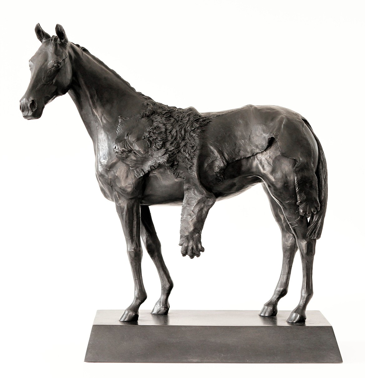 Michael Zavros: Depictions of luxury & beauty – QAGOMA Stories ...