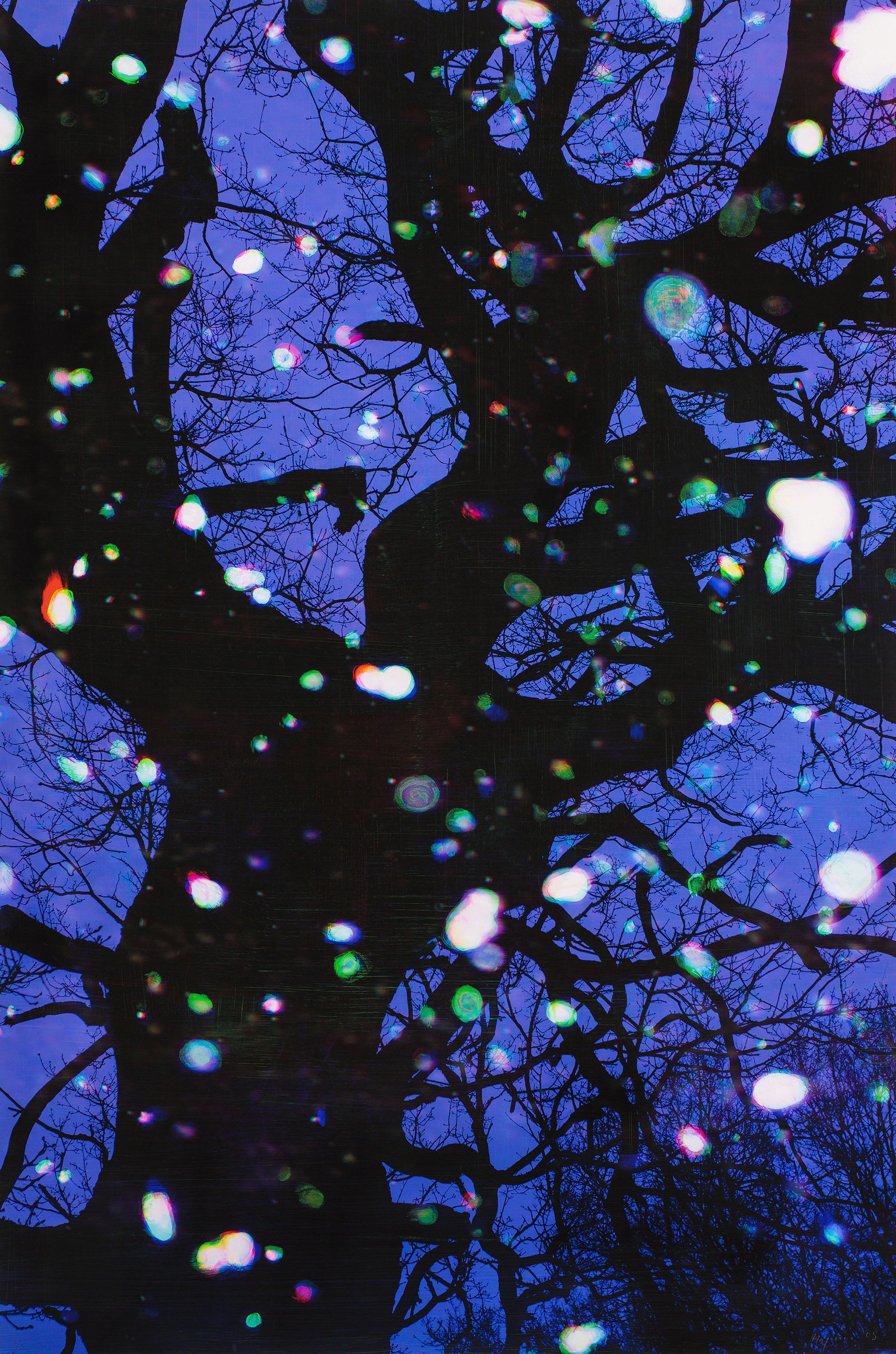 Tim Maguire, Australia/United Kingdom b.1958 / Trees and snow III 2008 / Digital pigment ink on paper / 180.2 x 119.6cm (comp., irreg.) / Gift of an anonymous donor through the QAG Foundation 2012. Donated through the Australian Government's Cultural Gifts Program / Collection: Queensland Art Gallery | Gallery of Modern Art / © Tim Maguire