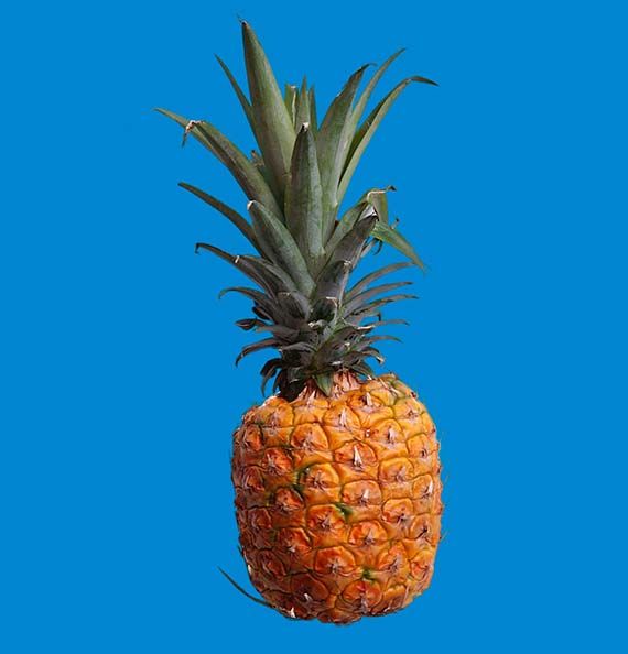 Fallen Fruit (David Burns & Austin Young) / Fruit Machine: Blue Pineapple 2014 / Image courtesy: The artists