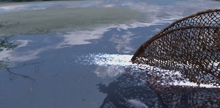 Production still from the immersive digital experience of Judy Watson's tow row 2021 / © Queensland Art Gallery and the artist