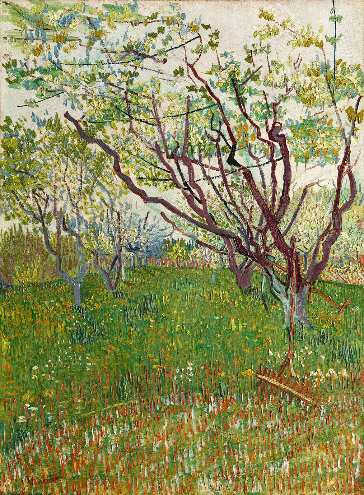 Vincent van Gogh, The Netherlands 1853–90 / The Flowering Orchard 1888 / Oil on canvas / 72.4 x 53.3cm / Signed (lower left): Vincent The Mr and Mrs Henry Ittleson Jr Purchase Fund, 1956 / 56.13 / Collection: The Metropolitan Museum of Art, New York
