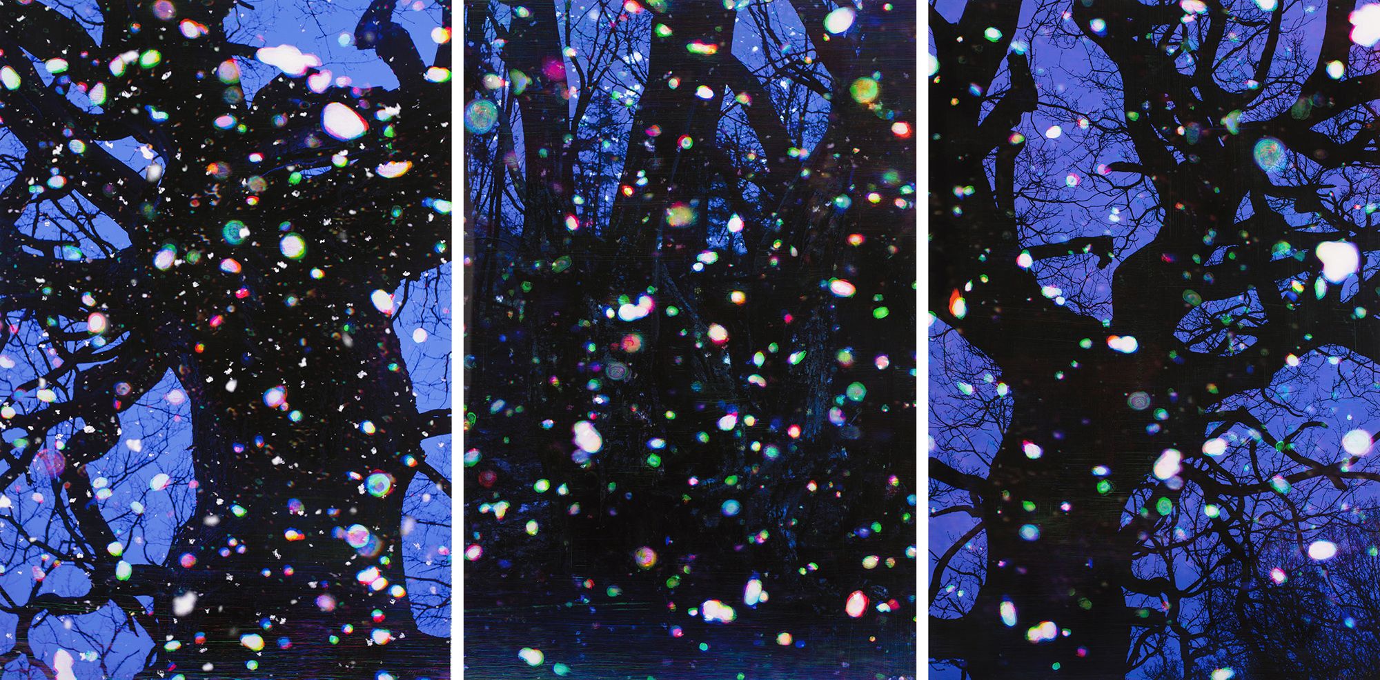 Tim Maguire, Australia/United Kingdom b.1958 / Trees and snow I, II & III 2008 / Digital pigment ink on paper / 180.2 x 119.6cm (comp., irreg.) each / Gift of an anonymous donor through the QAG Foundation 2012. Donated through the Australian Government's Cultural Gifts Program / Collection: Queensland Art Gallery | Gallery of Modern Art / © Tim Maguire