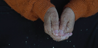 Production still from The Palm 2022 (detail) / Director: Aïda Adilbek / Image courtesy: Aïda Adilbek