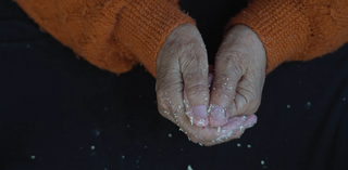 Production still from The Palm 2022 (detail) / Director: Aïda Adilbek / Image courtesy: Aïda Adilbek