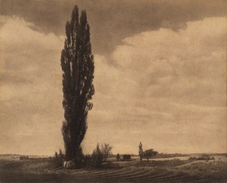 Stanley W Eutrope, Australia 1891–1983 / Pastoral c.1925 / Bromoil hotograph on paper / 23.1 x 28.9cm (comp) / Purchased 1984 / Collection: Queensland Art Gallery | Gallery of Modern Art / © Stanley Eutrope Estate