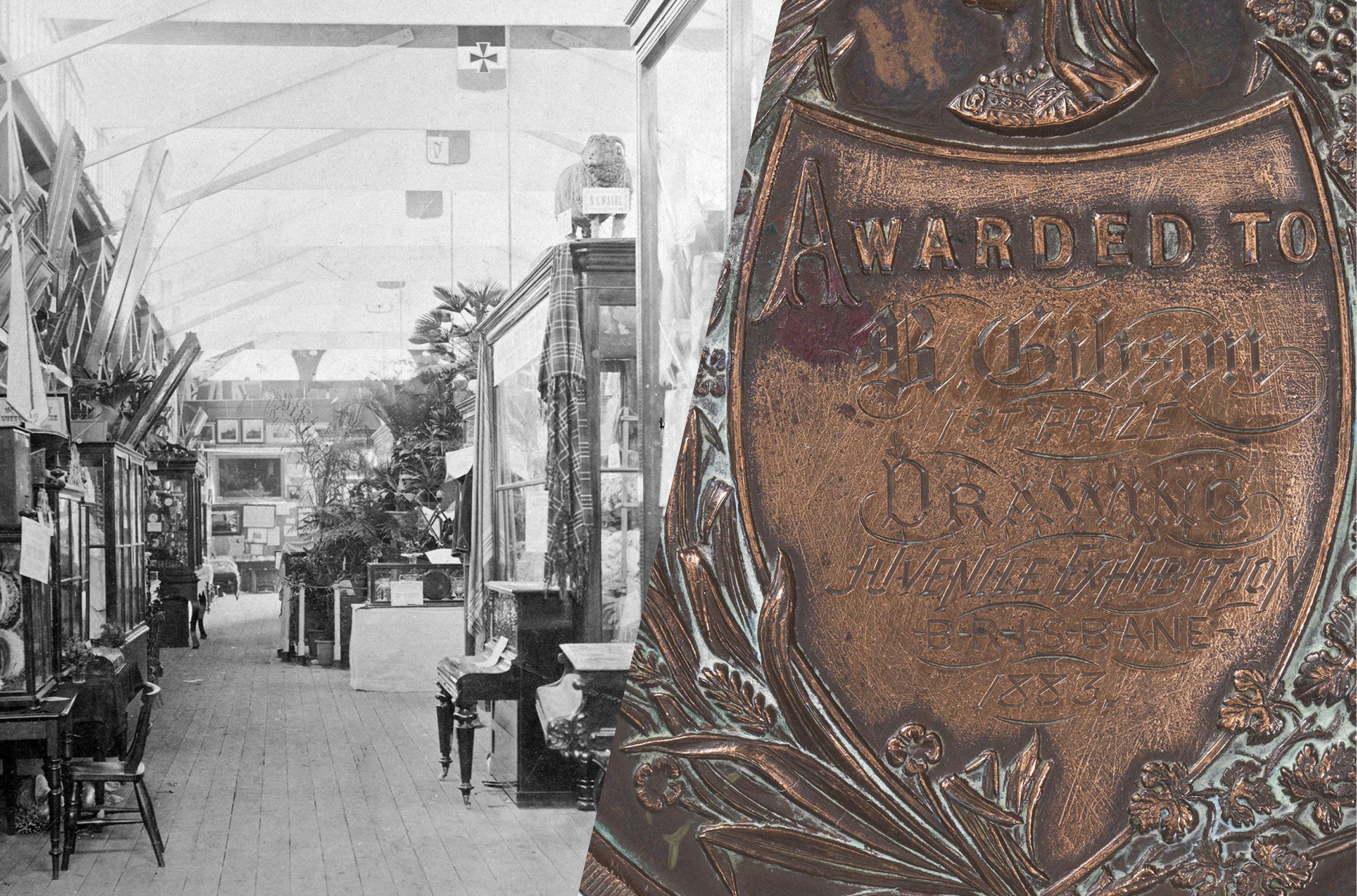 Bessie Gibson: From a National Agricultural & Industrial Association of Queensland award in 1883 to a life in Paris