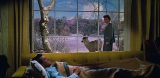 Production still from All That Heaven Allows 1955 / Director: Douglas Sirk / Image courtesy: Universal Pictures Australia
