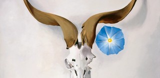 Georgia O’Keeffe, USA 1887–1986 / Ram’s Head, Blue Morning Glory 1938 / Oil on canvas / 50.8 x 76.2cm / Gift of The Burnett Foundation (2007.01.024) / Collection: Georgia O’Keeffe Museum / © Georgia O’Keeffe Museum