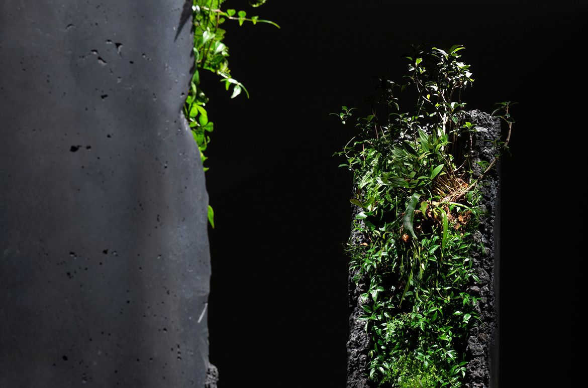 Jamie North, Australia b.1971 / Installation view of Portal 2022, ‘Air’ GOMA 2022 / Cement, ash, slag, expanded clay, graphite, organic matter and plants native to Queensland / Two columns: 290.9 x 60cm (each), plus plants / Courtesy: Jamie North and The Renshaws, Brisbane / © Jamie North/Copyright Agency, 2022 / Photograph: M Campbell © QAGOMA