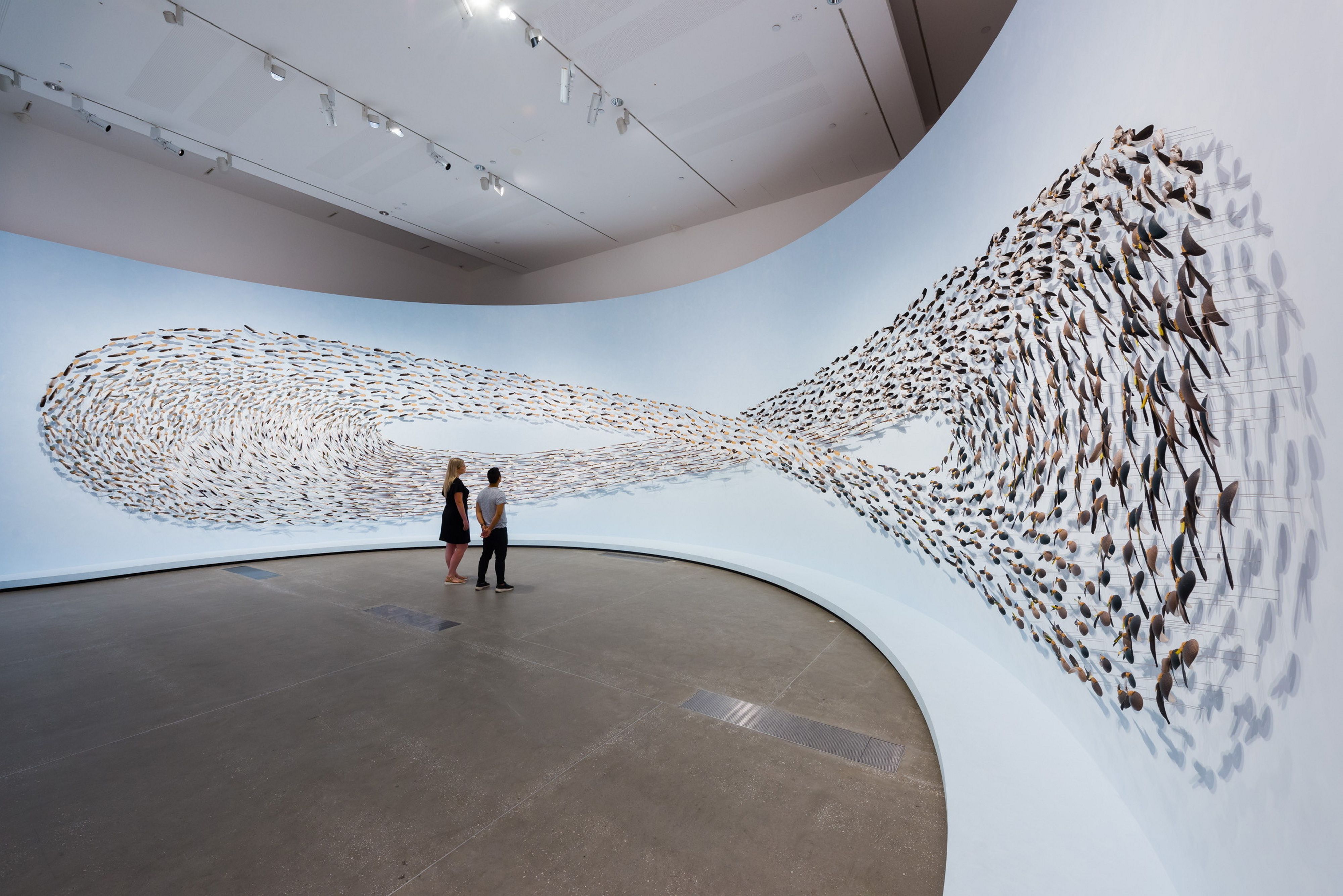 Jonathan Jones / Kamilaroi/Wiradjuri people, b.1978; Dr Uncle Stan Grant Sr AM / Wiradjuri people, b.1940 / untitled (giran) 2018 / Bindu-gaany (freshwater mussel shell), gabudha (rush), gawurra (feathers), marrung dinawan (emu egg), walung (stone), wambuwung dhabal (kangaroo bone), wayu (string), wiiny (wood) on wire pins, 48-channel soundscape, eucalyptus oil / Purchased 2018 with funds from Tim Fairfax AC through the Queensland Art Gallery | Gallery of Modern Art Foundation / Collection: Queensland Art Gallery | Gallery of Modern Art / © Copyright reserved / Photography: Natasha Harth, QAGOMA