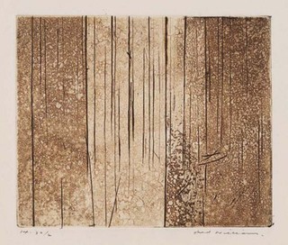WILLIAMS, Fred Australia b.1927 d.1982 Echuca landscape 1961 Drypoint, engraving and aquatint on wove paper 22.2 x 24.8cm (sheet) Acc. 2:1611 Gift of Mrs Lyn Williams 1982
