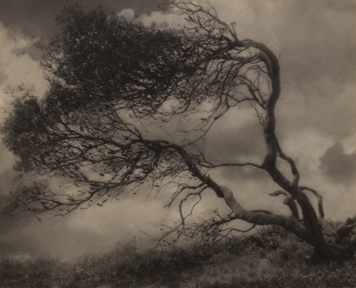 Rose Simmonds, Australia 1877-1960 / Storm c.1940 / Gelatin silver photograph on paper / 27.3 x 33.7cm (comp.) / Gift of Dr J H Simmonds 1982 / Collection: Queensland Art Gallery | Gallery of Modern Art