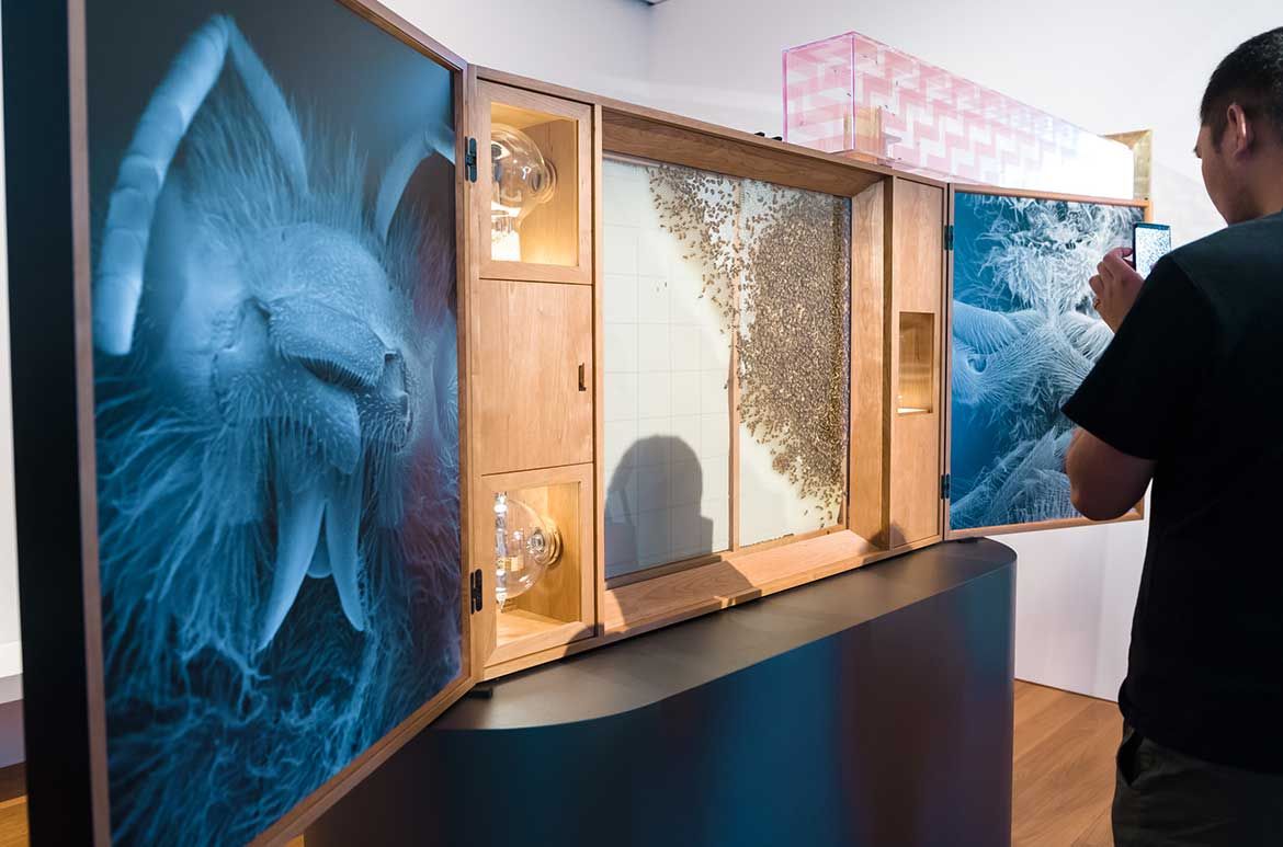 Anne Noble, Aotearoa New Zealand b.1954 / Conversatio: A cabinet of wonder 2018, installed at APT9, GOMA / Photographs, wooden cabinet, metal, glass, sound, scent, patterned perspex, colony of bees / 190 x 70 x 170cm / © Anne Noble / Courtesy: Anne Noble and Two Rooms, Auckland: Bartley + Company Art, Wellington and Jonathan Smart Gallery, Christchurch / Supported by: Bee One Third, JackStone, Brisbane and Creative New Zealand