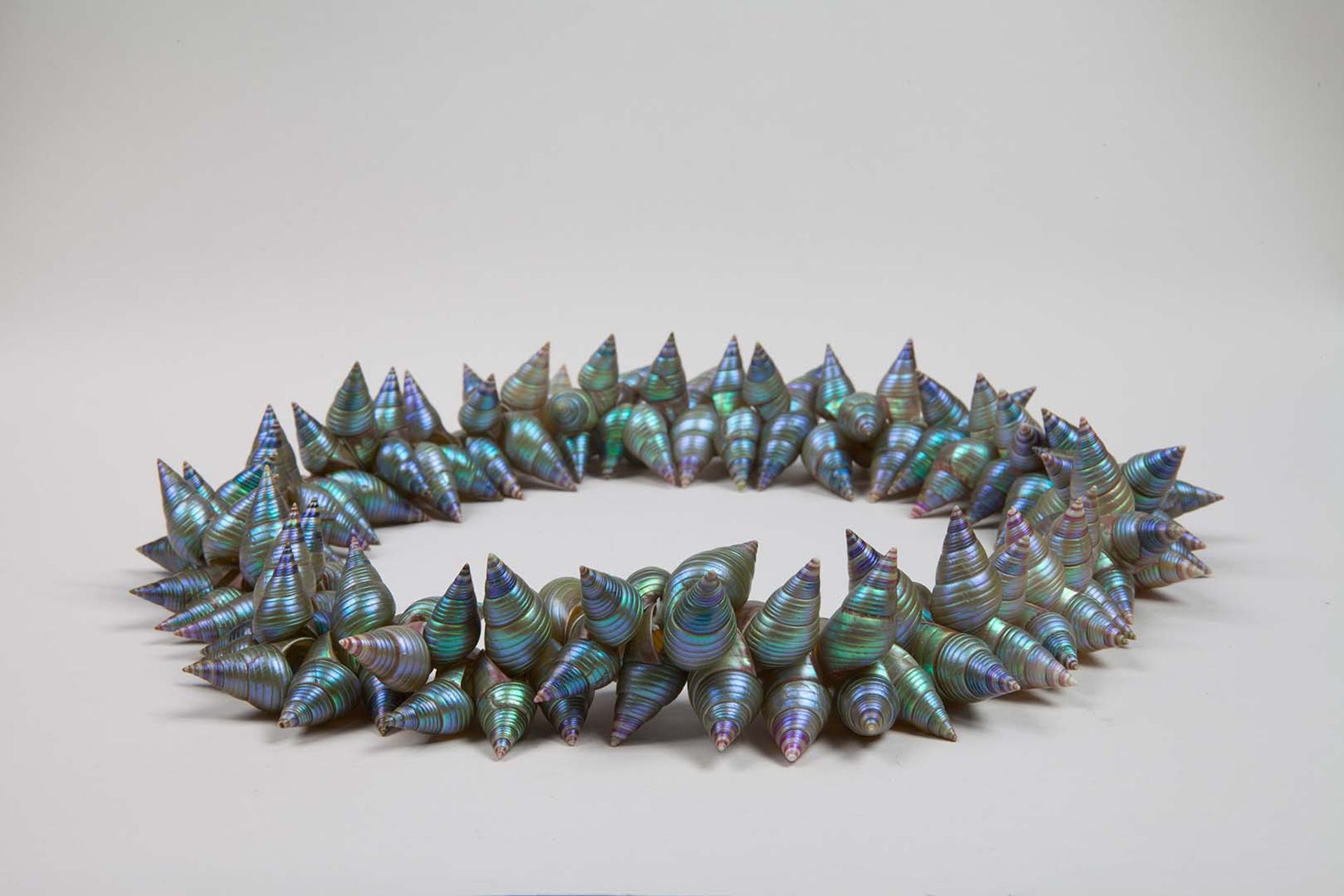 Lola Greeno, Palawa people Australia b.1946 Teunne (king maireener shell crown) 2013 King maireener shells on wire / 25cm (diam.) Collection: Queen Victoria Museum and Art Gallery, Launceston.