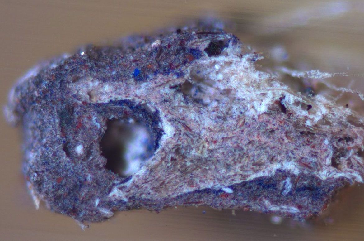 Paint cross section from Trotting race 1956 showing the mixtures of pigments and fillers which make up the paint. The binder has been characterised as oil modified alkyd, Photographed (x40 magnification)