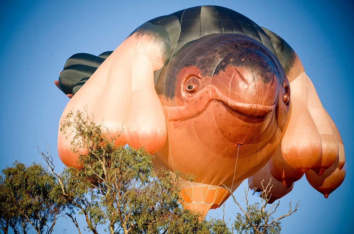 First flight of Patricia Piccinini’s Skywhale
