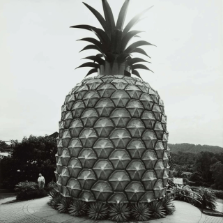 Max Pam, Australia b.1949 / The Big Pineapple, near Nambour (from ‘Journeys north’ portfolio) 1986 / Gelatin silver photograph on paper / 28.3 x 28.3cm (comp.) / Acc. 1987.173.018 / Purchased 1987 with the financial assistance of the Australian Bicentennial Authority to commemorate Australia’s Bicentenary in 1988 / Collection: Queensland Art Gallery | Gallery of Modern Art